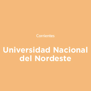 niversidad Nacional del Nordeste